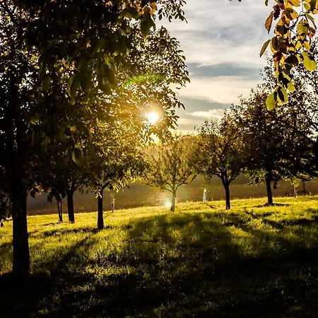 Harrauer's Living Guest house Erlauf