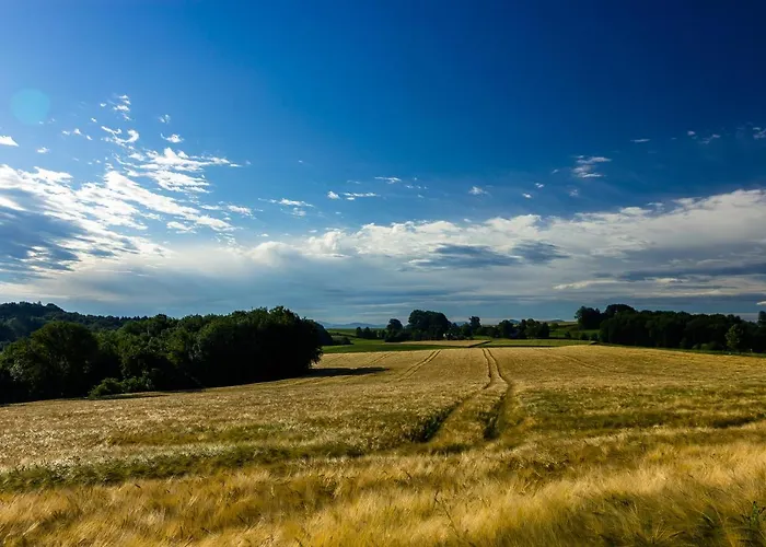 Harrauer's Living 3*