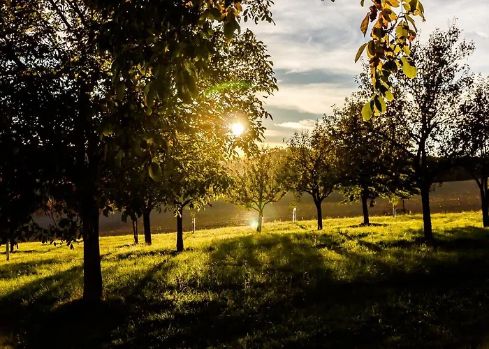 Harrauer's Living 招待所 Erlauf