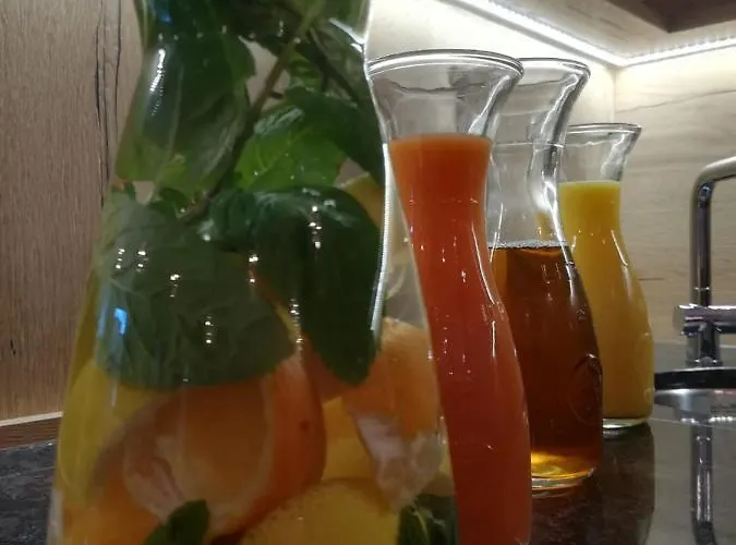 Gasthuis Harrauer's Living 3*